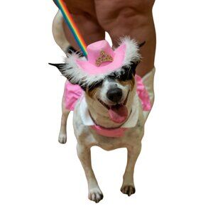 Doggy Parton Small Dog Costume